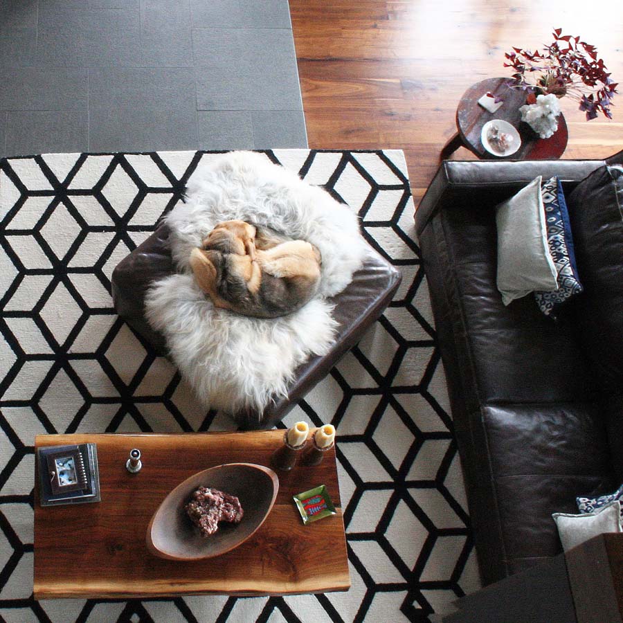 Live edge wood slab coffee table, black couch, and black and white rug with dog sleeping